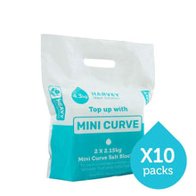 Load image into Gallery viewer, Mini Curve Salt 10 Packs (2 blocks per pack)